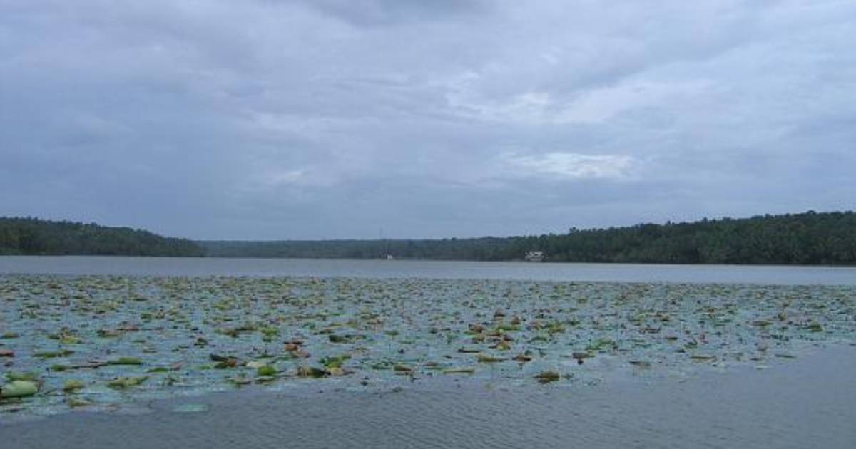 Vellayani Lake